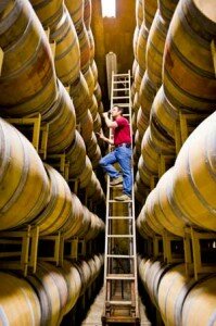 Winemaker tastes from the barrels